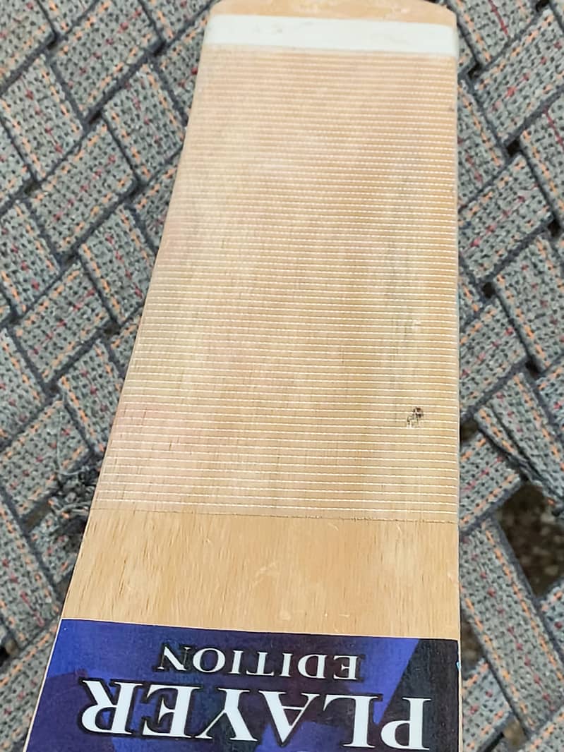Coconut Bat 4