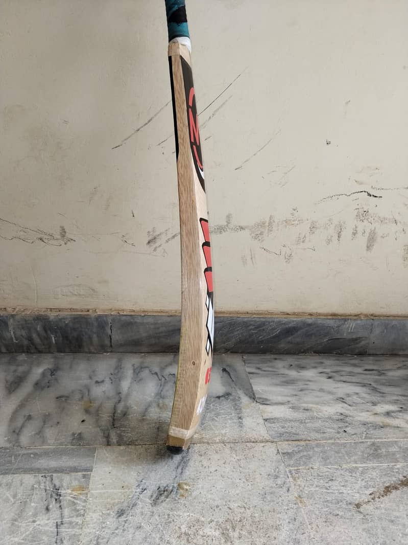 Coconut Bat 7