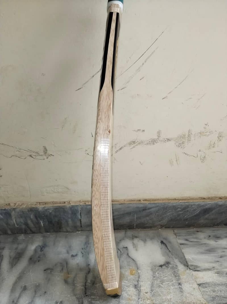 Coconut Bat 8