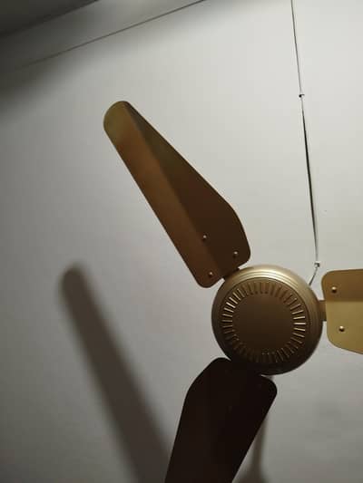 Ceiling fan for sale Indus bus fan
