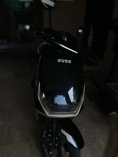 Evee for sale