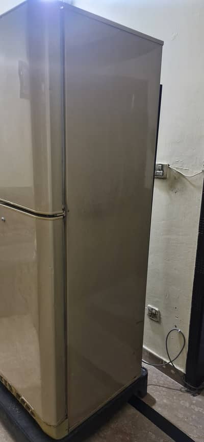 PEL full size refrigerator in very good condition