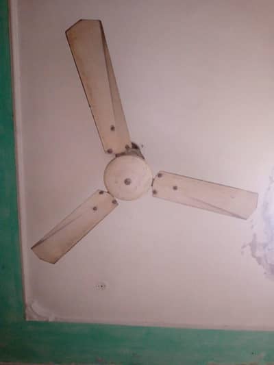 very nice speed and good qualty