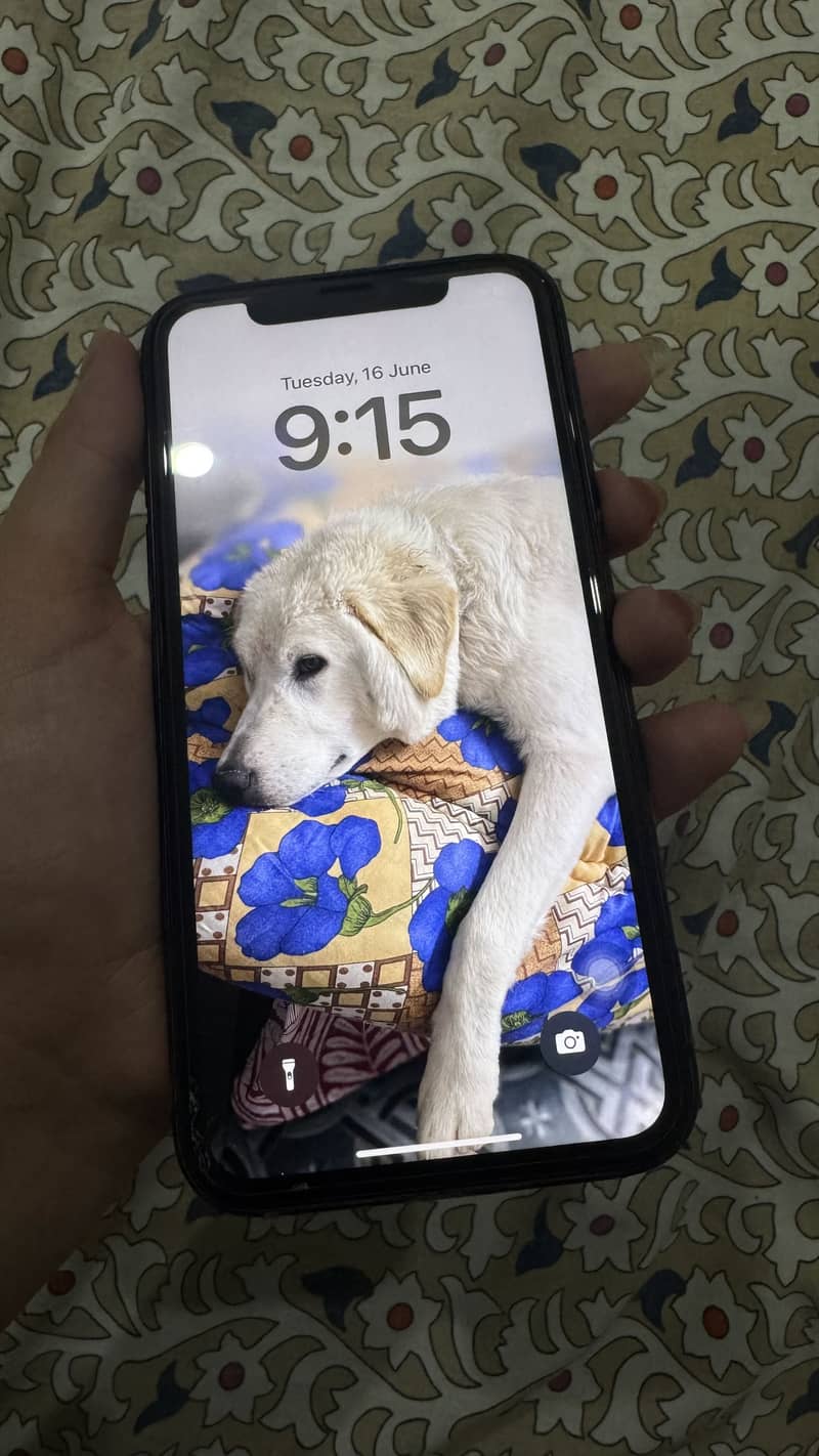 iPhone 11 1