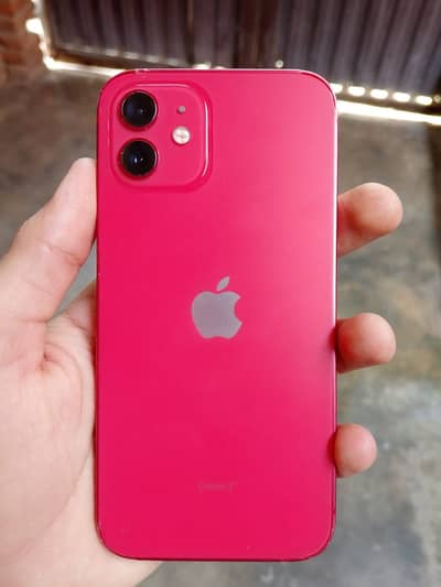 Apple iPhone 12