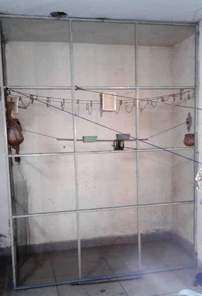Birds Cage