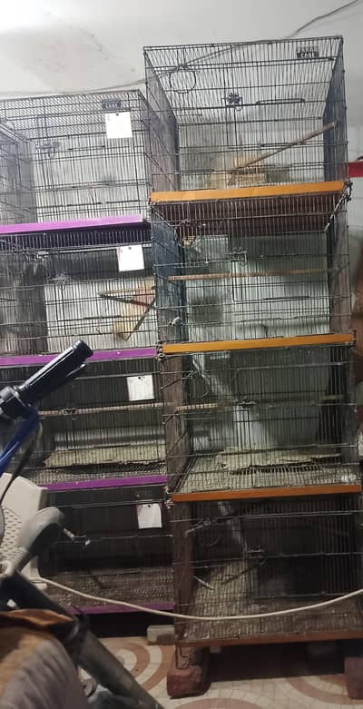 three cages for sale
