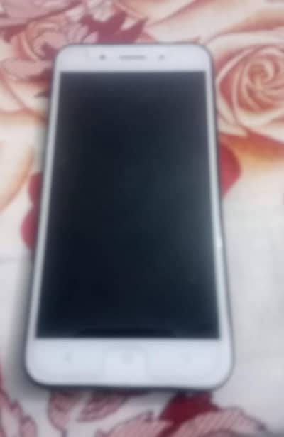 Vivo Y66 only phone