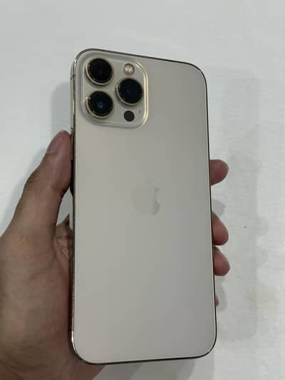 Apple iPhone 13 Pro Max