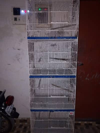 Birds Accessories