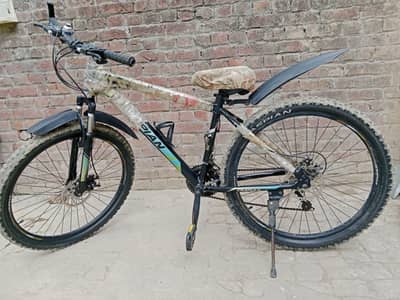 mountain bicycle