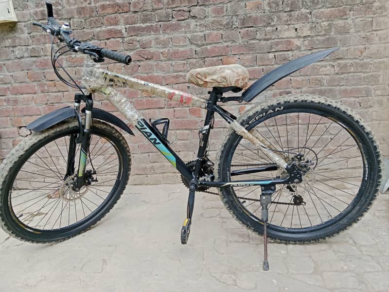 mountain bicycle 0