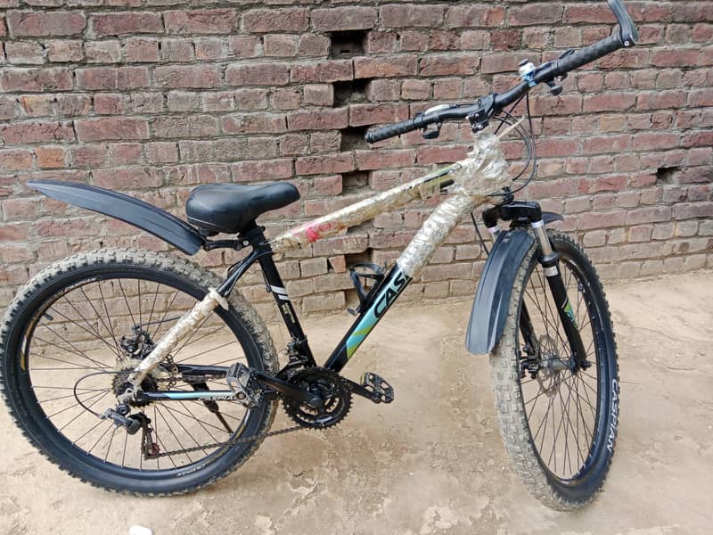 mountain bicycle 1