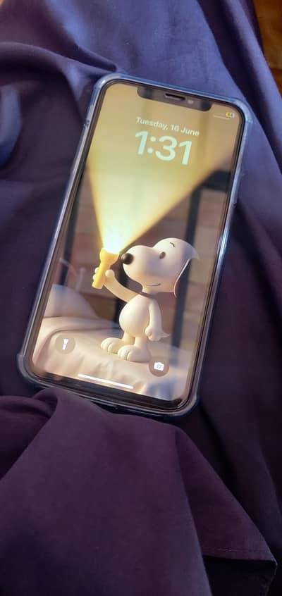 Apple iPhone X