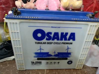 8 month used