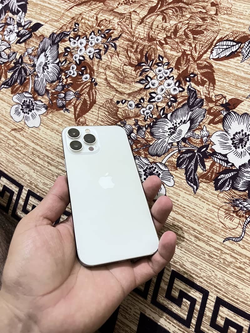 iphone 13 pro max 1