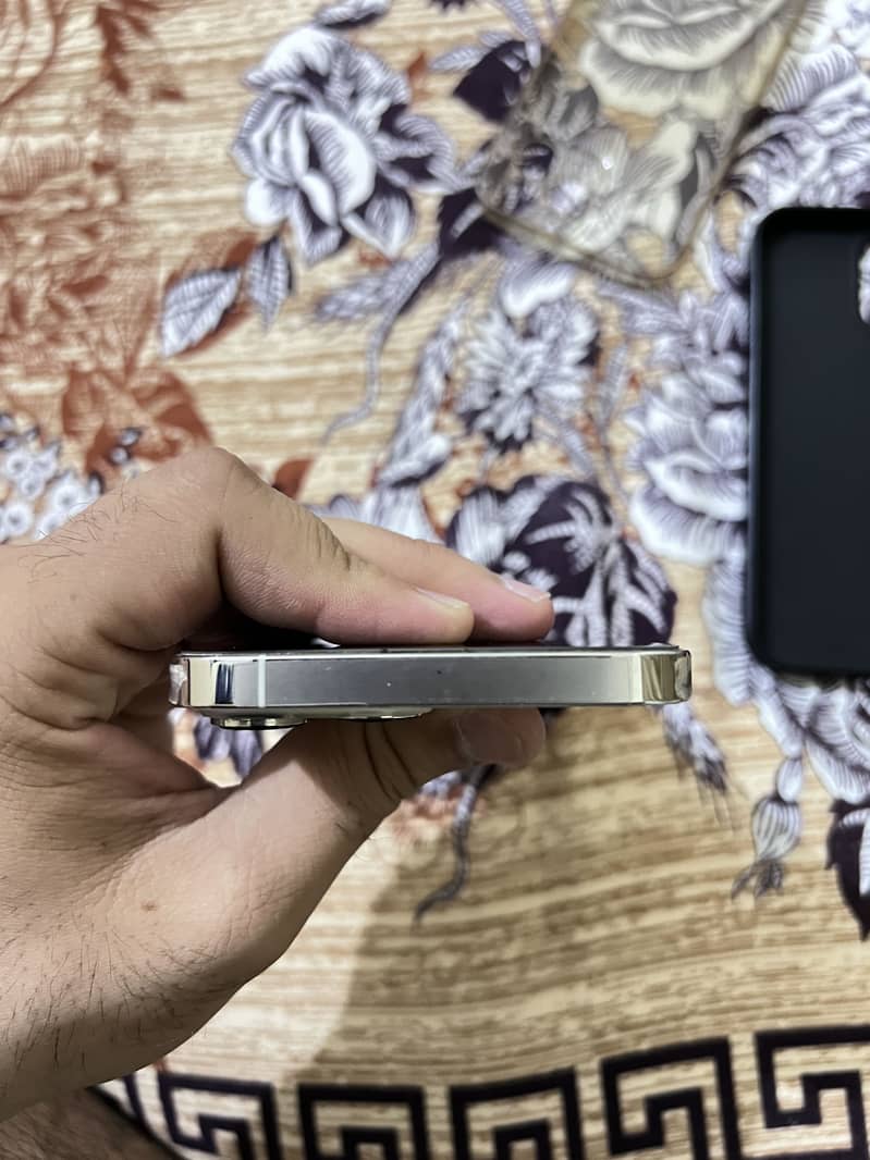 iphone 13 pro max 2