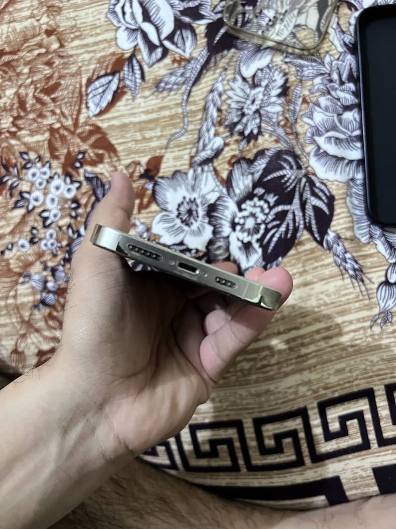 iphone 13 pro max 5