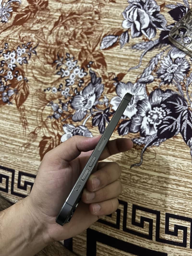 iphone 13 pro max 3
