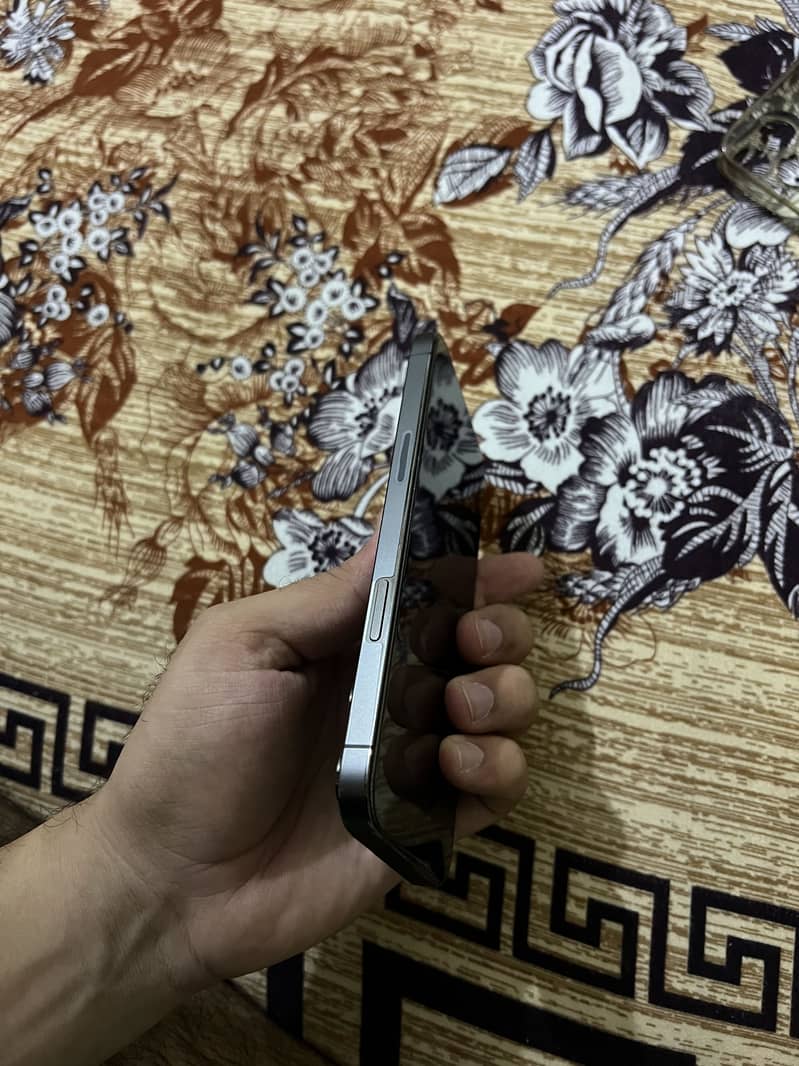 iphone 13 pro max 4