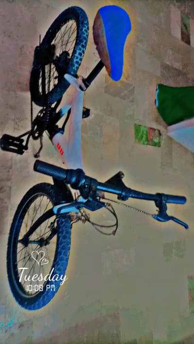 Kuu Branded Bicycle
