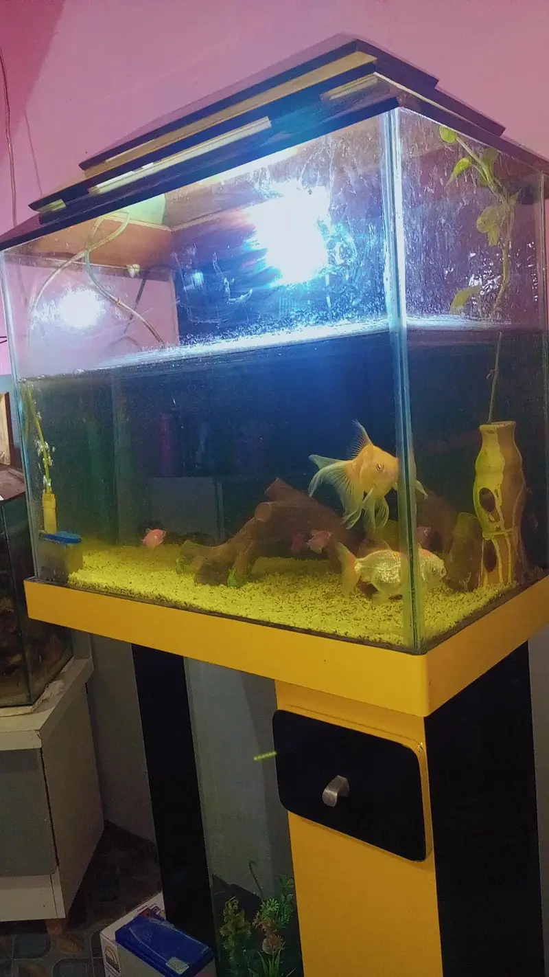 Aquarium for sale — photo 2