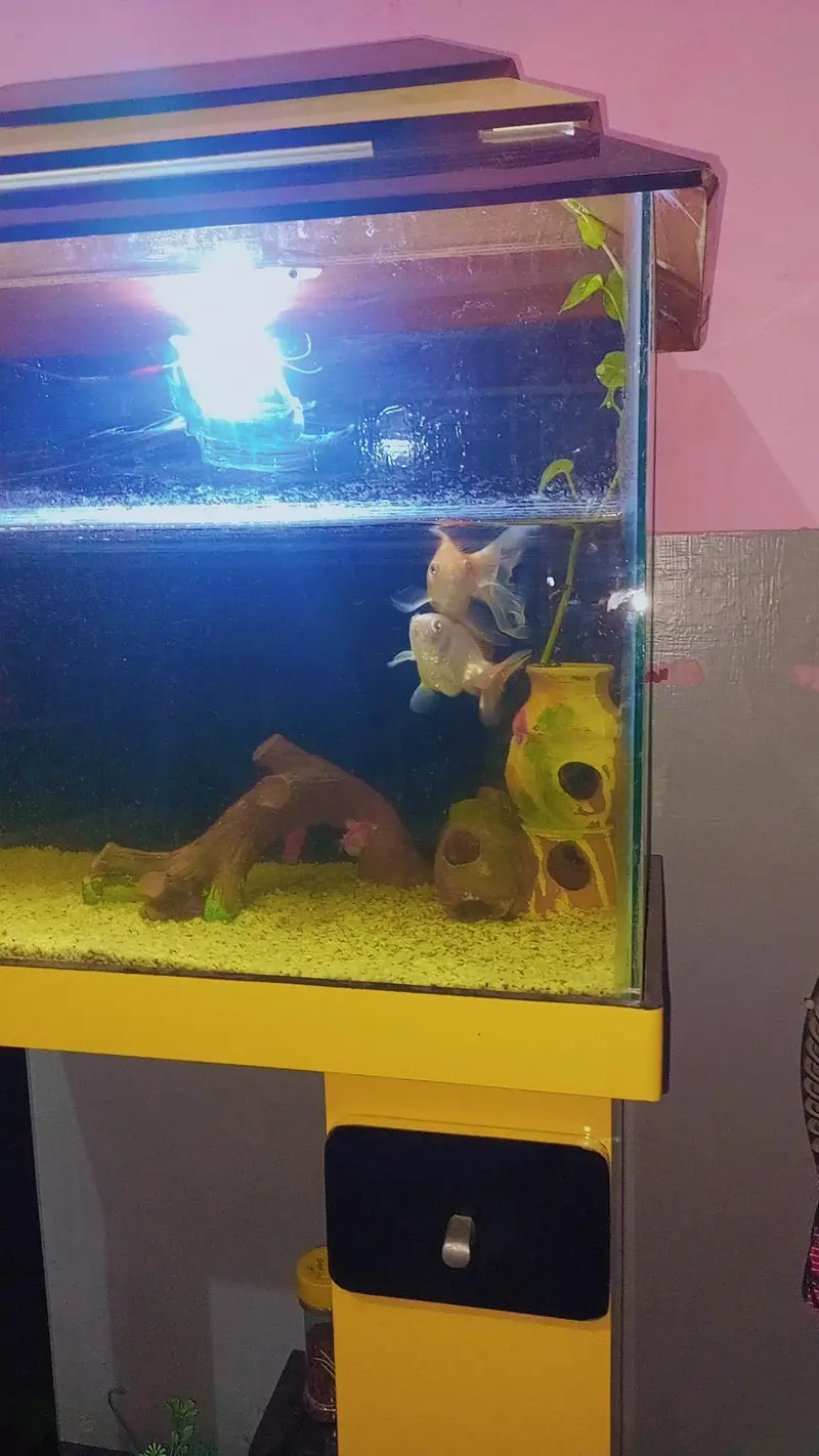Aquarium for sale — photo 3