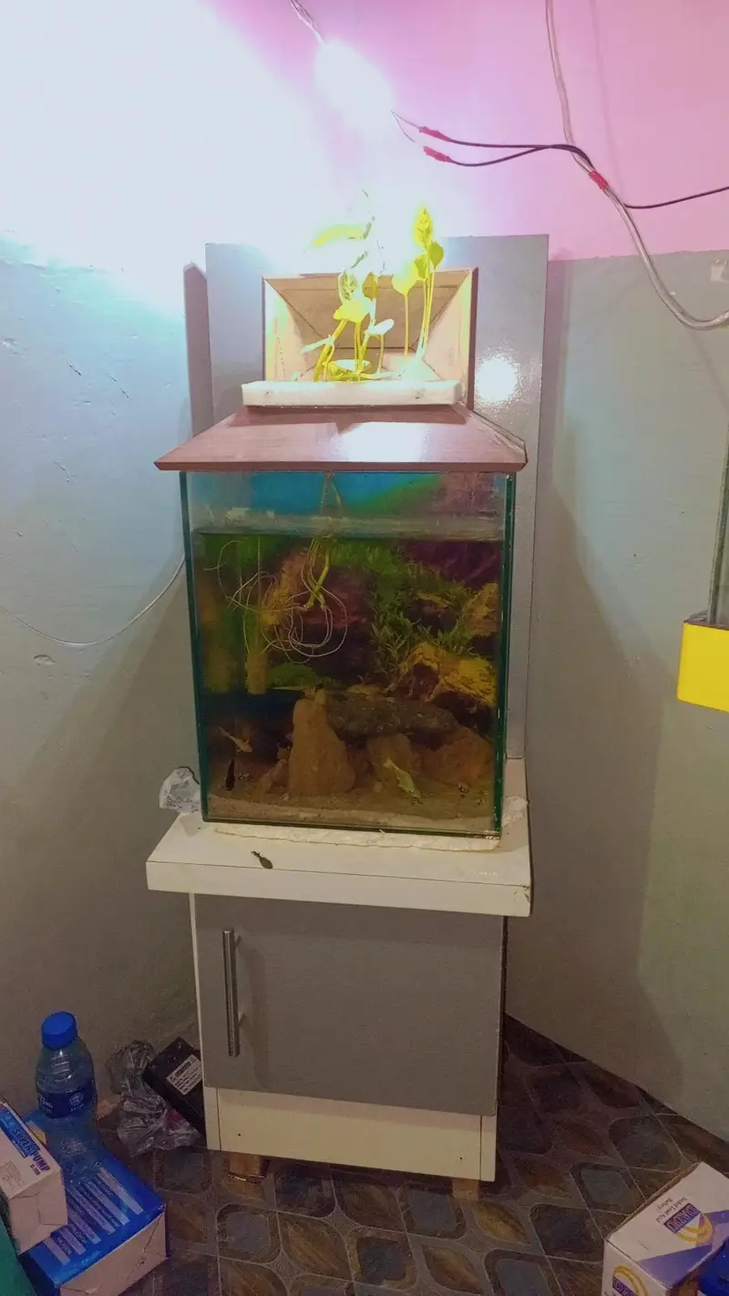Aquarium for sale — photo 4