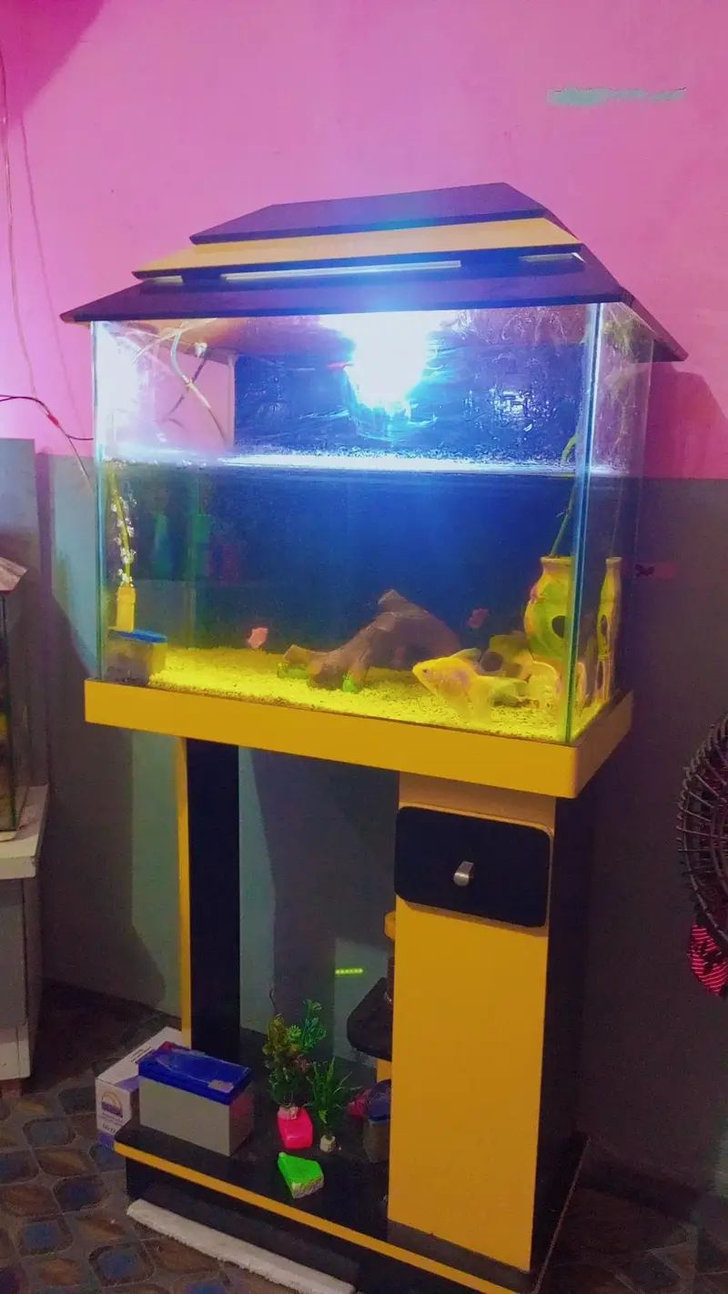 Aquarium for sale — photo 5