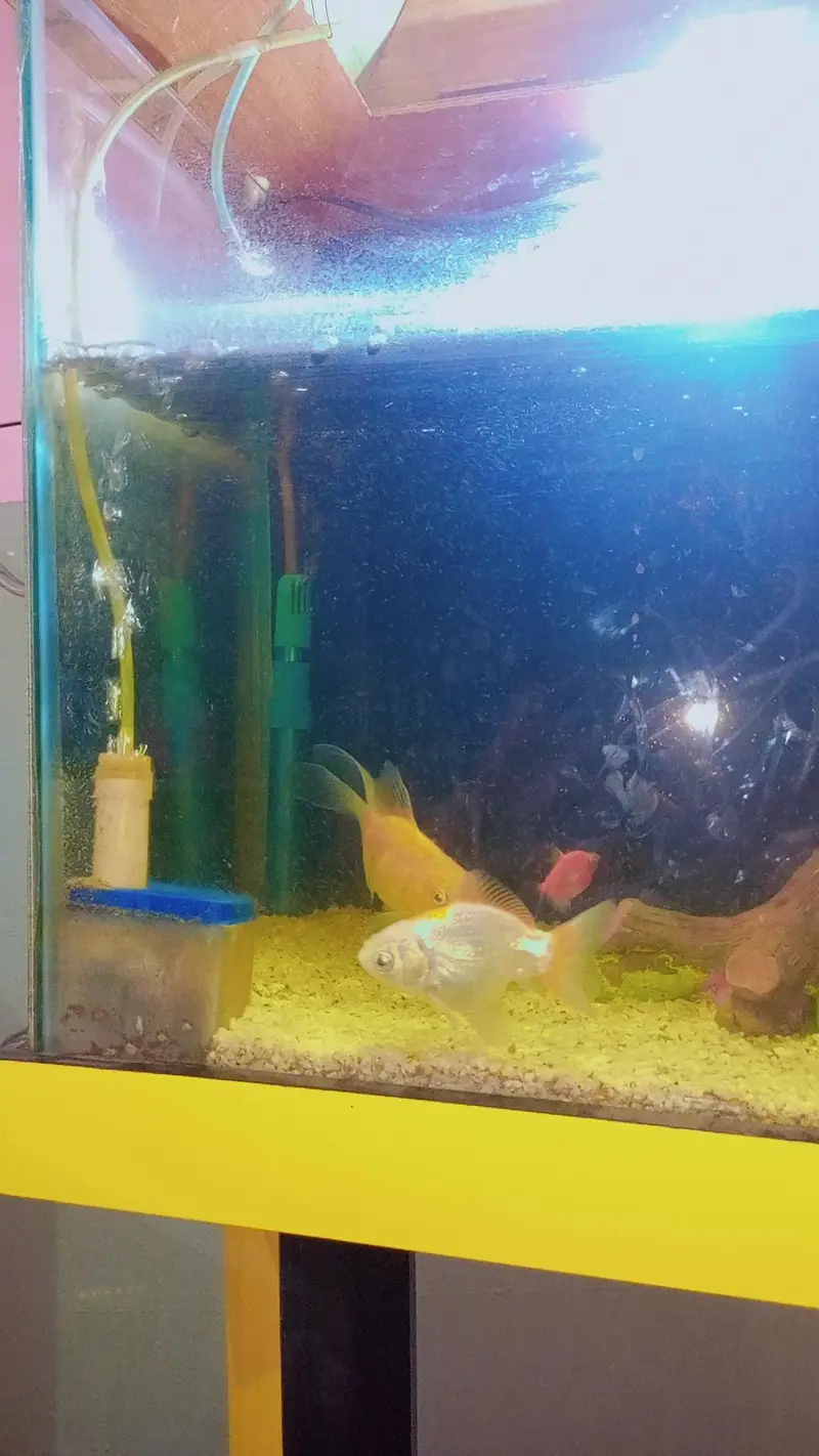 Aquarium for sale — photo 6