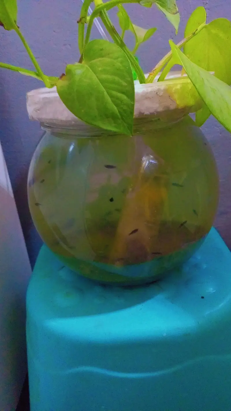 Aquarium for sale — photo 7