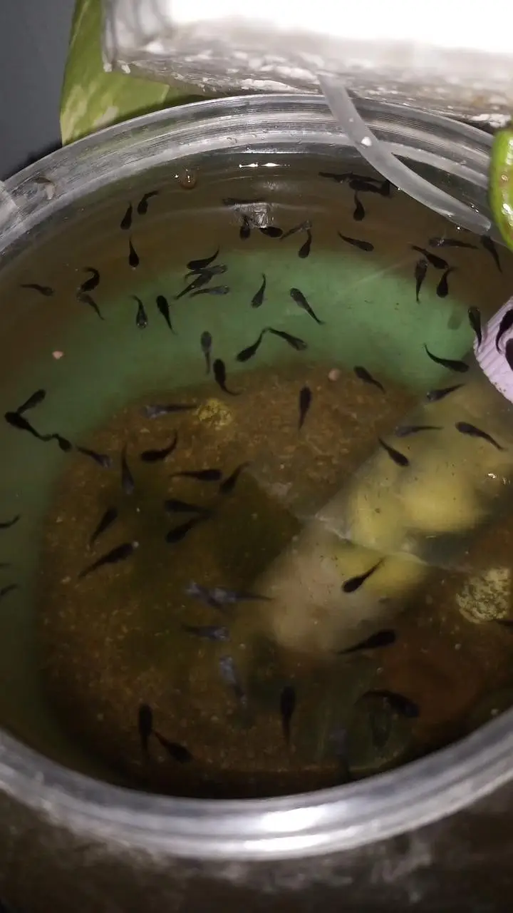 Aquarium for sale — photo 8