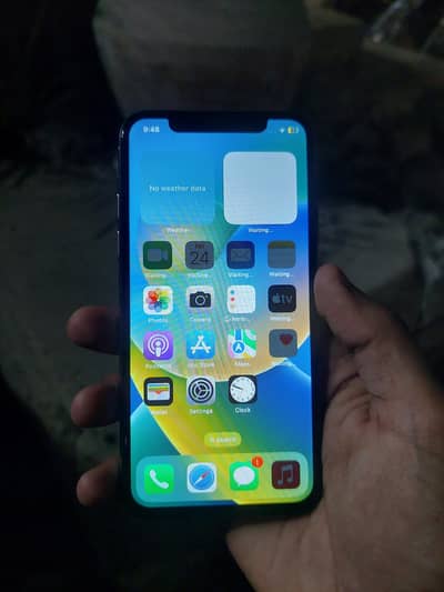 Apple iPhone X
