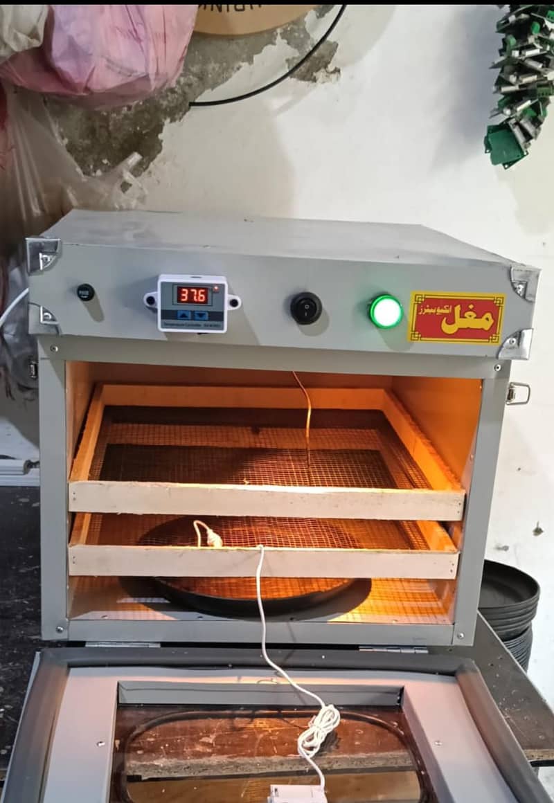 incubator 1