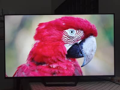 Haier S80 43" Google T. V QLED