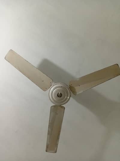 Celling Fan