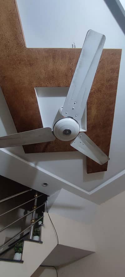 Pak Fan Deluxe 56" Ceiling Fan – In Warranty