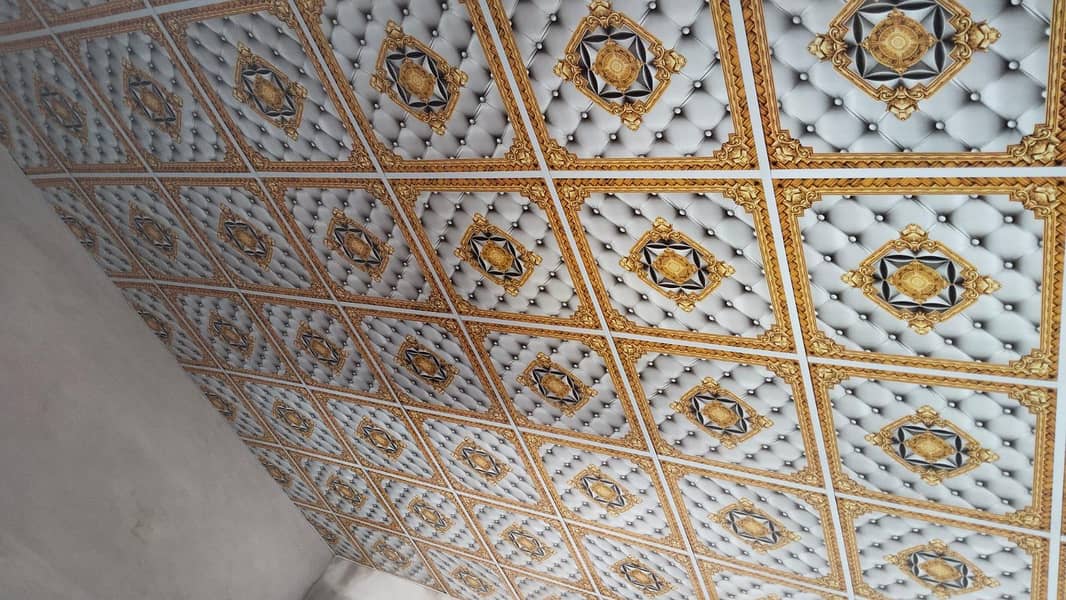 3D China Ceiling 16