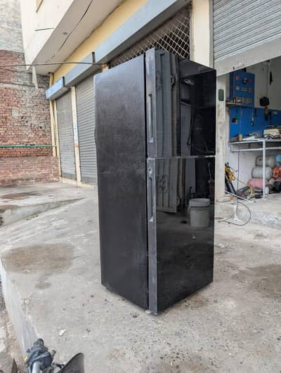fridge and freezer