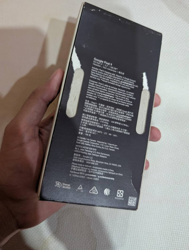 Google Pixel 9 1