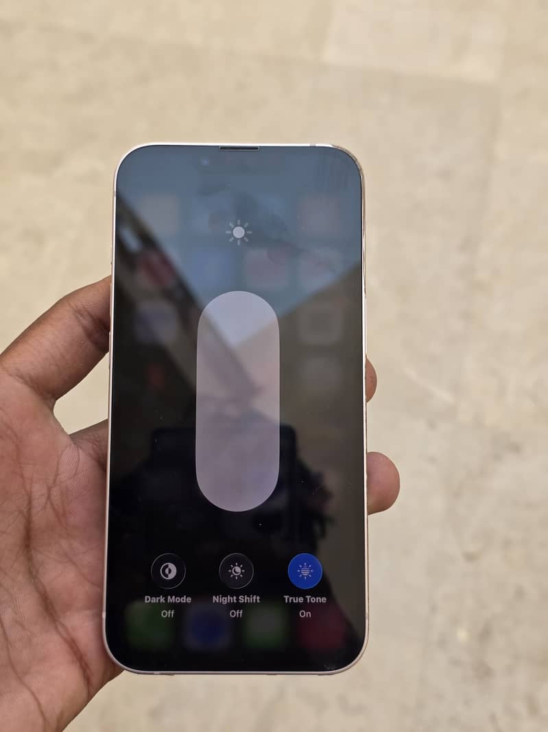 Apple iPhone 13 0