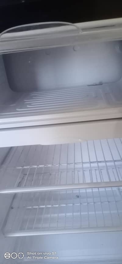 pel room fridge glass door