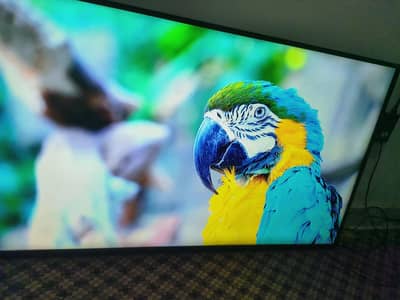 china led 50inch