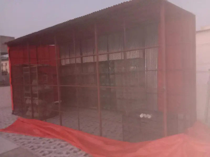 master cage 20*10*11 mazboot or paidar cage hai — photo 2
