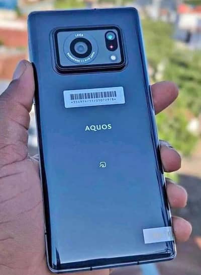 Aquos R6 12 128 Pta approved