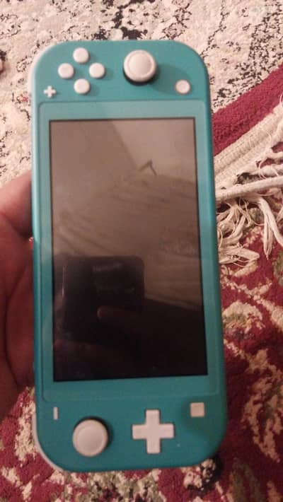 Nintendo Switch lite and Nintendo Switch v2