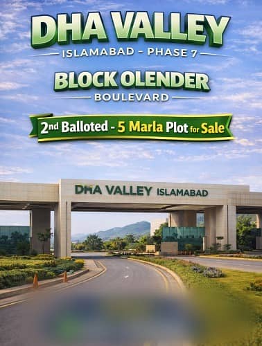 OLENDER BOLUEVARD
