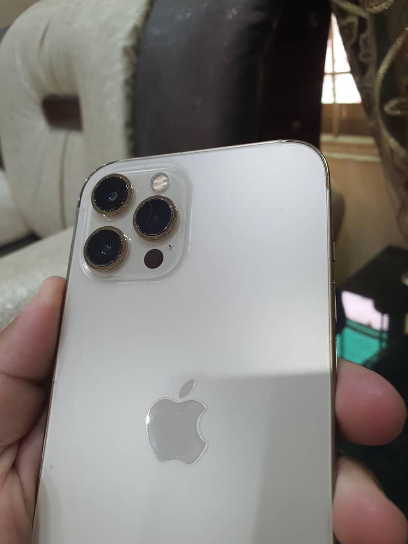 Apple iPhone 12 Pro Max 1
