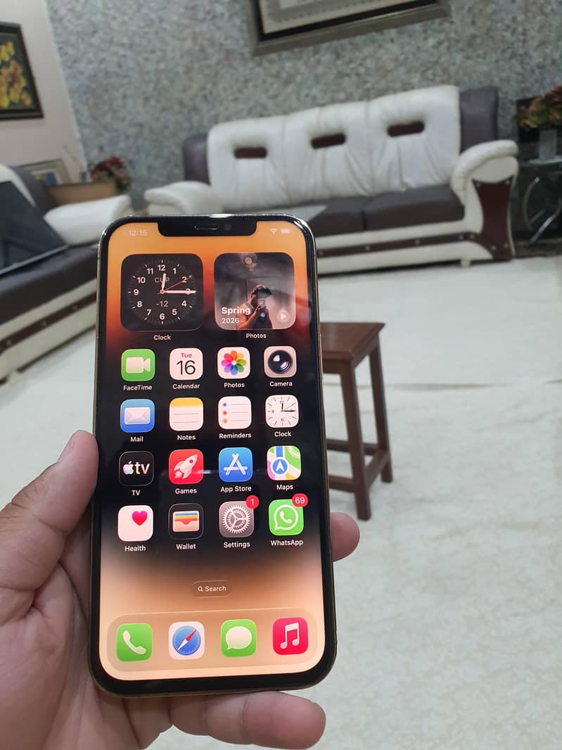 Apple iPhone 12 Pro Max 5