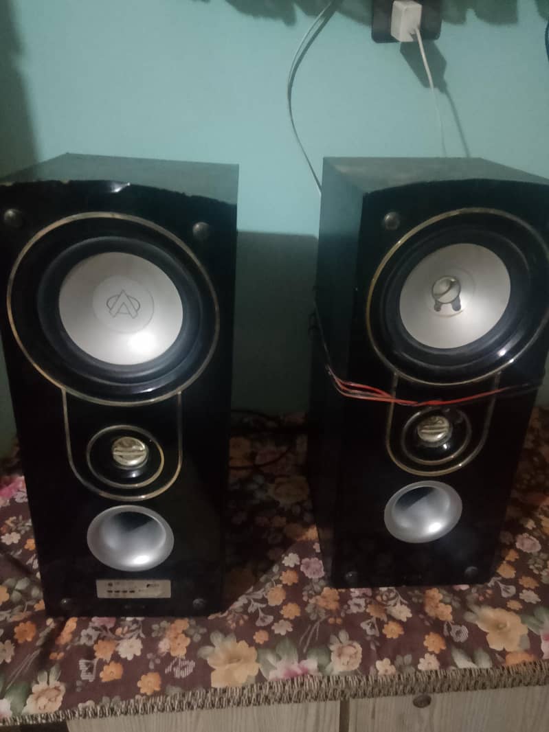 speaker 0